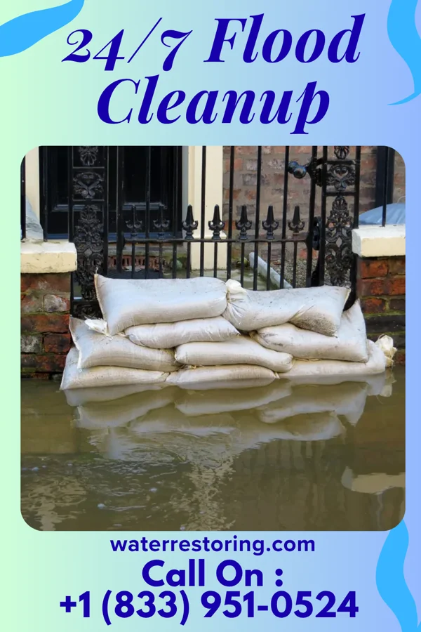 24/7 Flood Cleanup in South Haven, MI