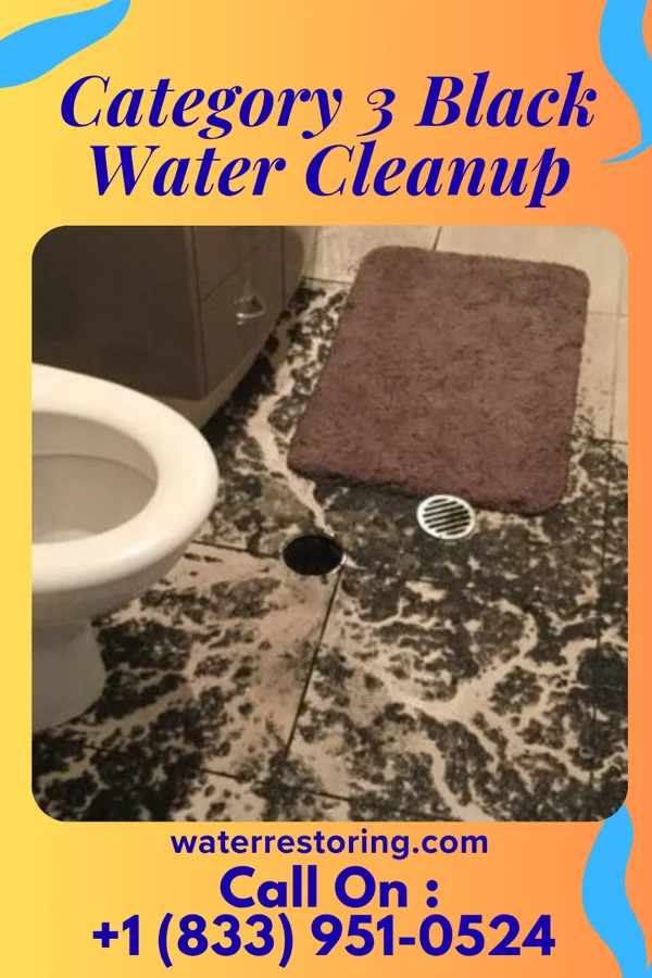 Category 3 Black Water Cleanup in South Haven, MI
