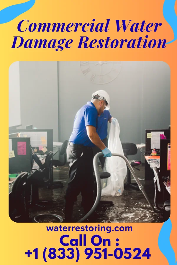 Commercial Water Damage Restoration in South Haven, MI
