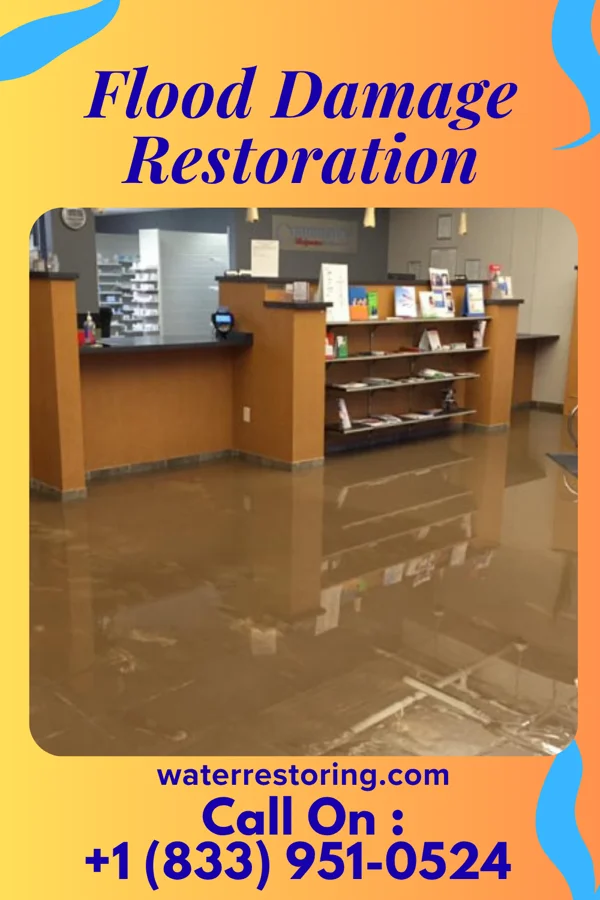 Flood Damage Restoration in South Haven, MI