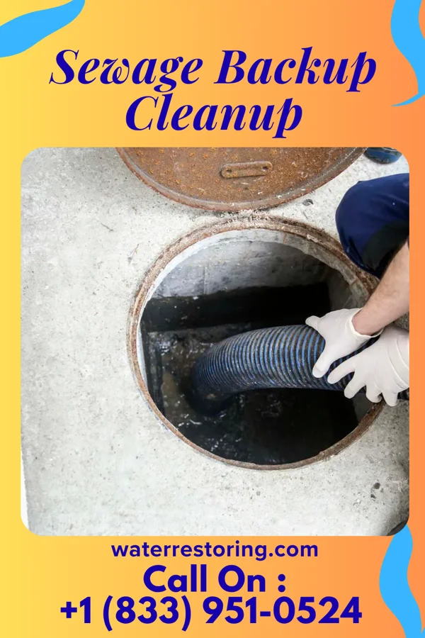 Sewage Backup Cleanup in South Haven, MI