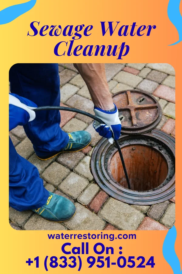 Sewage Water Cleanup in South Haven, MI